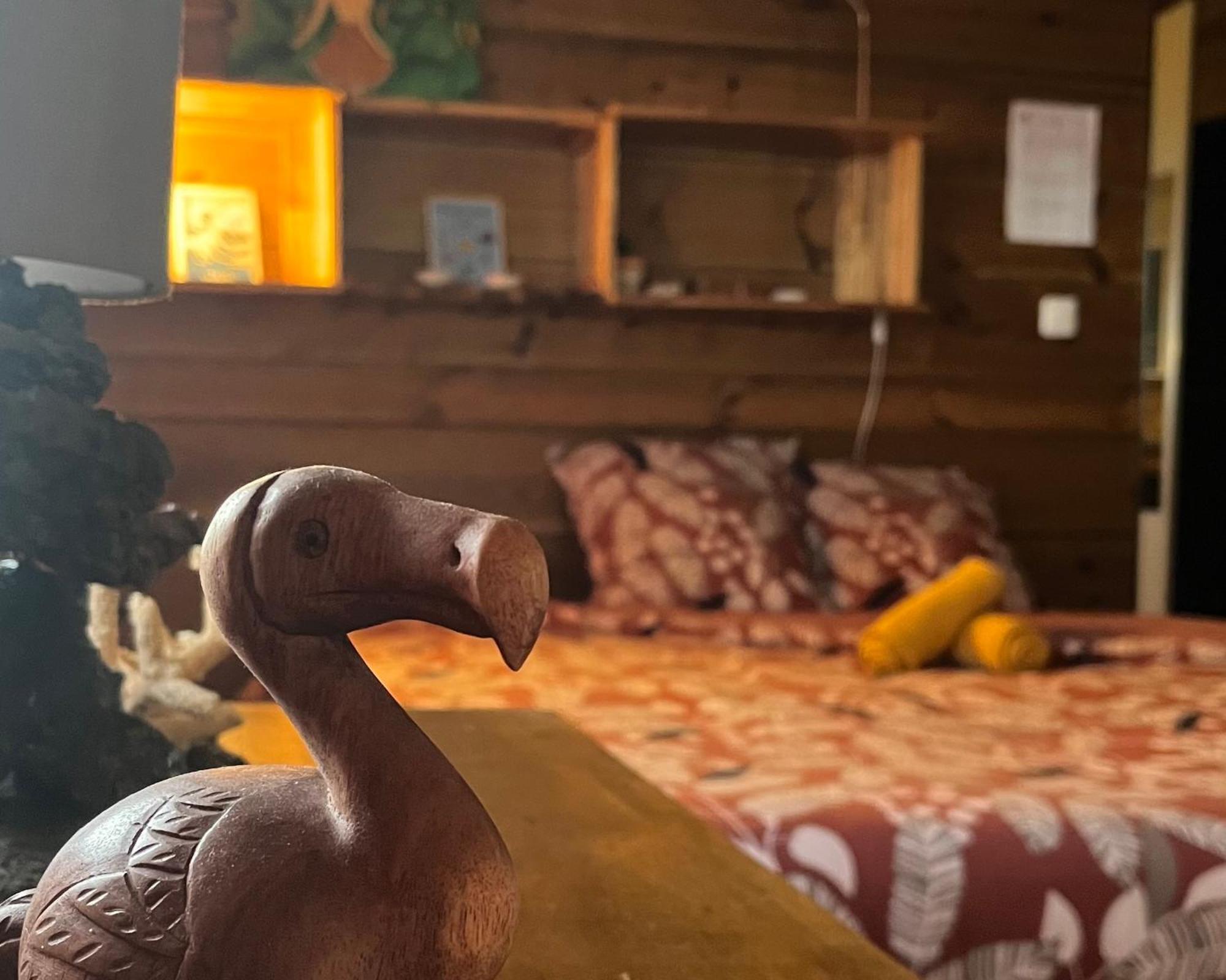 Dodo House Auberge De Jeunesse Saint-Leu Eksteriør bilde